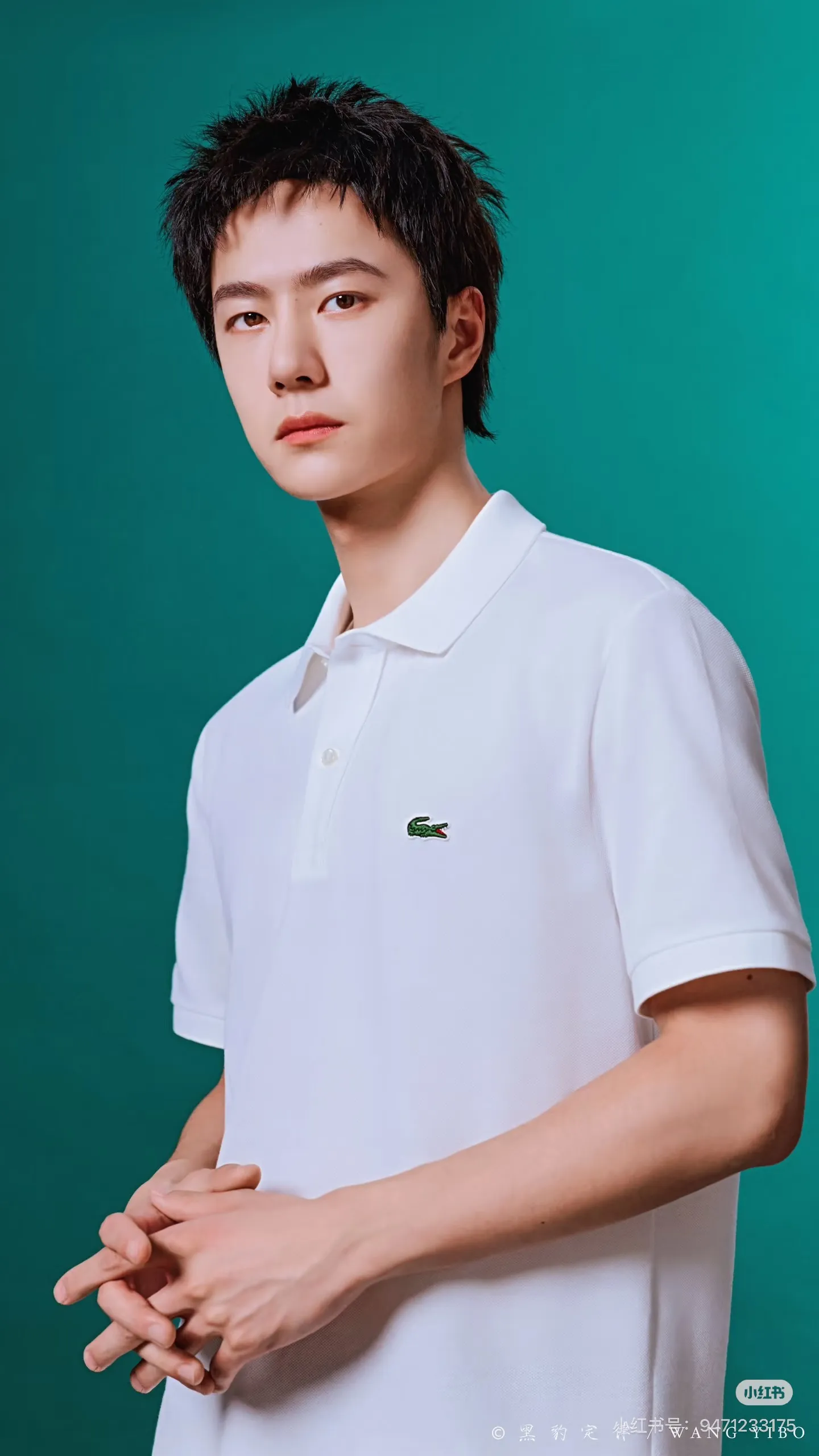 [Upper body picture] Lacoste crocodile logo Polo shirt (White)